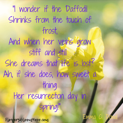 I wonder if the daffodil shrinks from the touch of frost, and when her veins grow stiff and still she dreams that life is lost? Ah, if she does, how sweet a thing her resurrection day in spring.