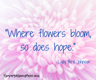 Where flowers bloom, so does hope.