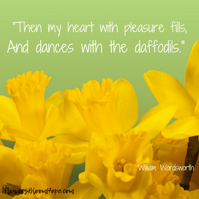 Then my heart with pleasure fills, and dances with the daffodils.