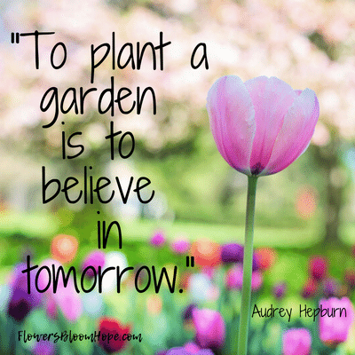 To plant a garden is to believe in tomorrow.