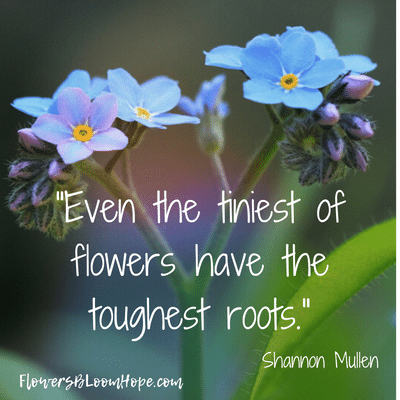 Even the tiniest of flowers have the toughest roots.