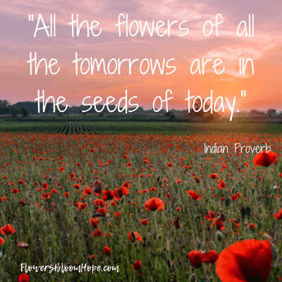 All the flowers of the tomorrows are in the seeds of today.