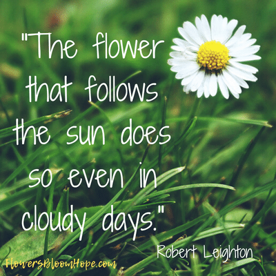 The flower that follows the sun does so even in cloudy days.