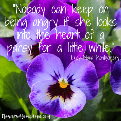 Nobody can keep on being angry if she looks into the heart of a pansy for a little while.