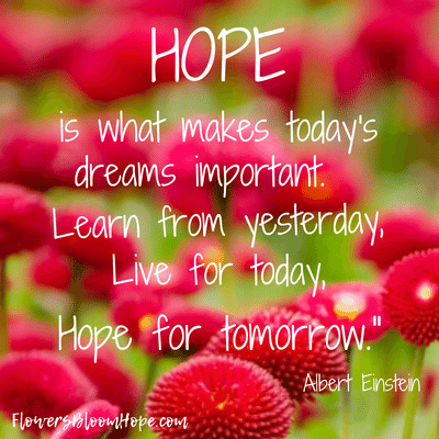 Hope is what makes today's dreams important. Learn from yesterday, live for today, hope for tomorrow.
