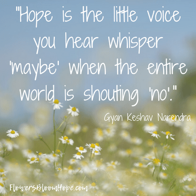 Hope is the little voice you heart whisper "maybe" when the entire world is shouting "no".