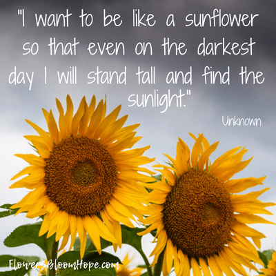 I want to be like a sunflower so that even on the darkest day I will stand tall and find the sunlight.