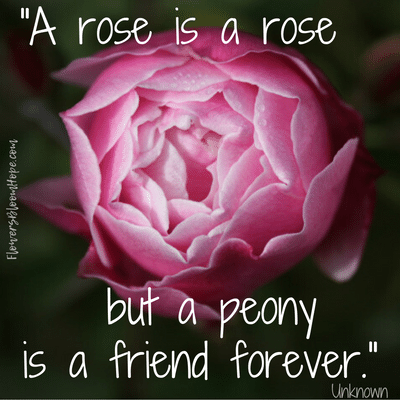 A rose is a rose but a peony is a friend forever.