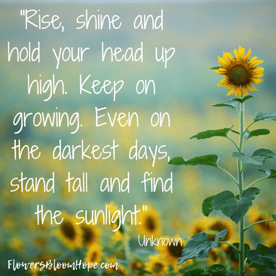 Rise, shine and hold your head up high. Keep on growing. Even on the darkest days, stand tall and find the sunlight.