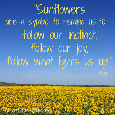 Sunflowers are a symbol to remind us to follow our instinct, follow our joy, follow what lights us up.