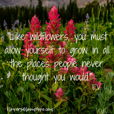 Like wildflowers, you must allow yourself to grow in all the places people never thought you would.