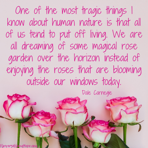 One of the most tragic things I know about human natures that all of us tend to put off living. We are all dreaming of some magical rose garden over the horizon instead of enjoying the roses that are blooming outside our windows today.