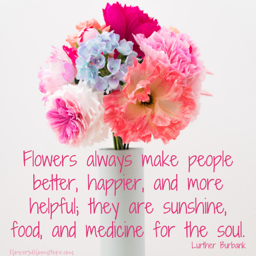 Flowers always make people better, happier, and more helpful; they are sunshine, food, and medicine for the soul.