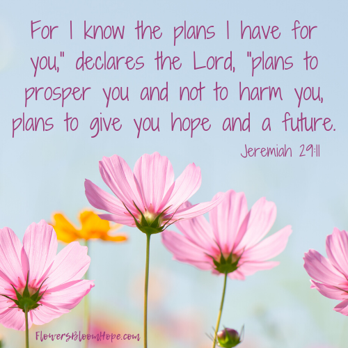 For I know the plans I have for you,” declares the Lord, “plans to prosper you and not to harm you, plans to give you hope and a future.