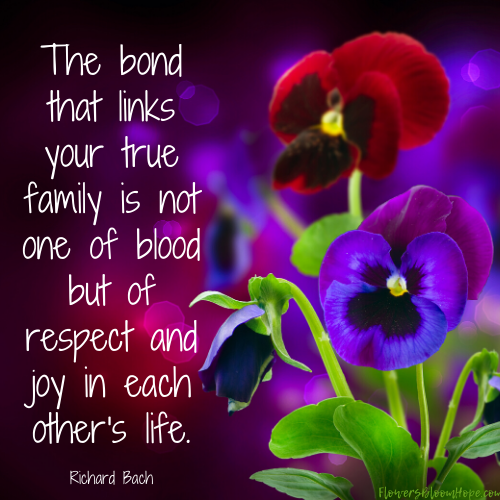 The bond that links your true family is not one of blood but of respect and joy in each other's life.