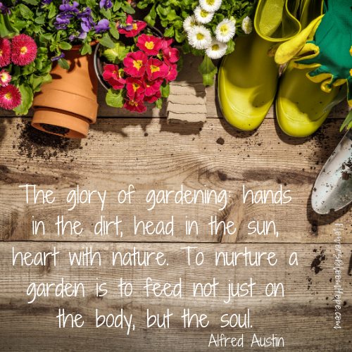 The glory of gardening: hands in the dirt, head in the sun, heart with nature. To nurture a garden is to feed not just on the body, but the soul.