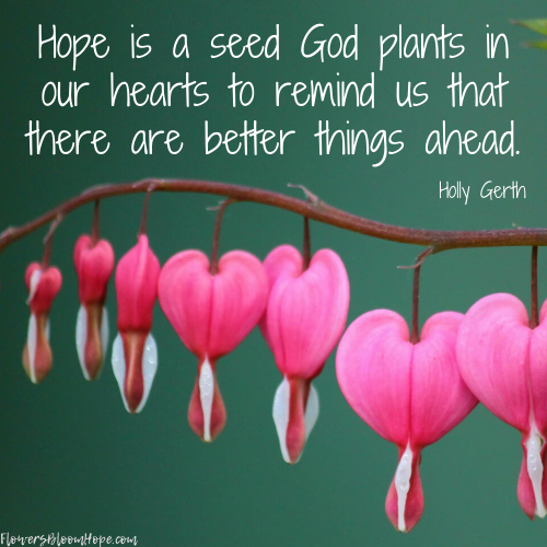 Hope is a seed God plants in our hearts to remind us that there are better things ahead.