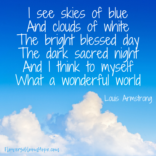 I see skies of blue And clouds of white The bright blessed day The dark sacred night And I think to myself What a wonderful world