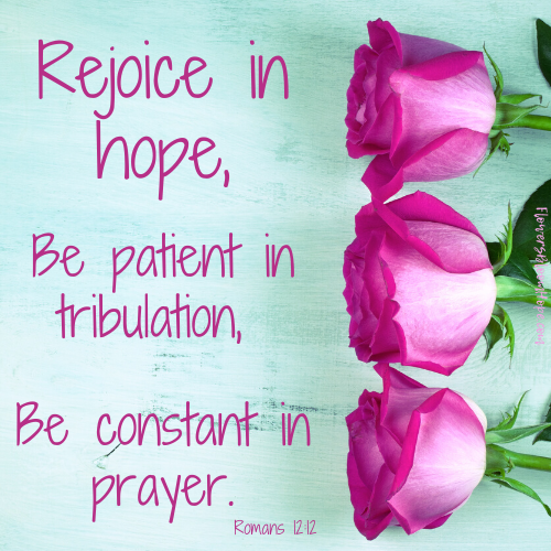 Rejoice in hope, be patient in tribulation, be constant in prayer.