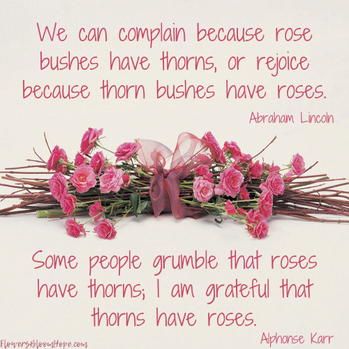 We can complain because rose bushes have thorns, or rejoice because thorn bushes have roses. Some people grumble that roses have thorns; I am grateful that thorns have roses.