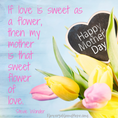If love is sweet as a flower, then my mother is that sweet flower of love.