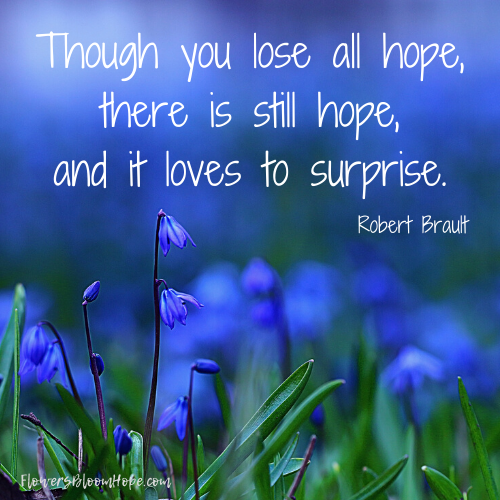 Though you lose all hope, there is still hope, and it loves to surprise.