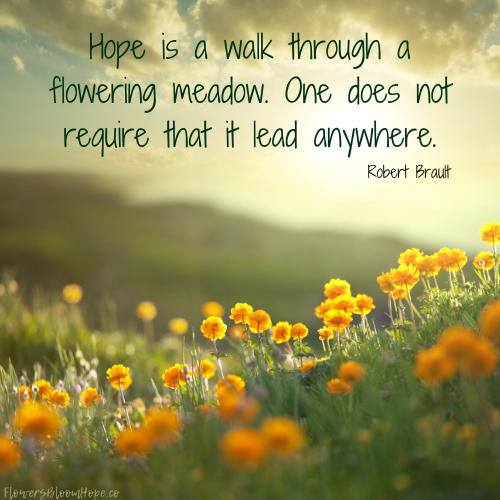 Hope is a walk through a flowering meadow. One does not require the it lead anywhere.