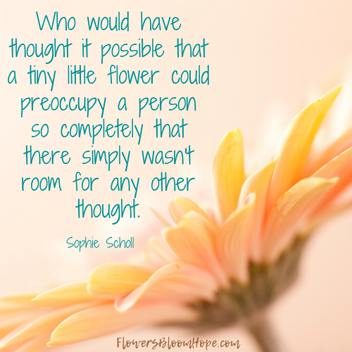 Who would have thought it possible that a tiny little flower could preoccupy a person so completely that there simply wasn't room for any other thought.