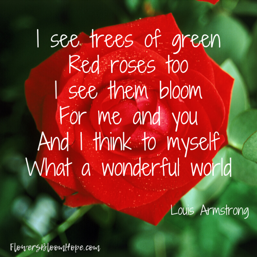 I see trees of green Red roses too I se them bloom For me and you And I think to myself What a wonderful world