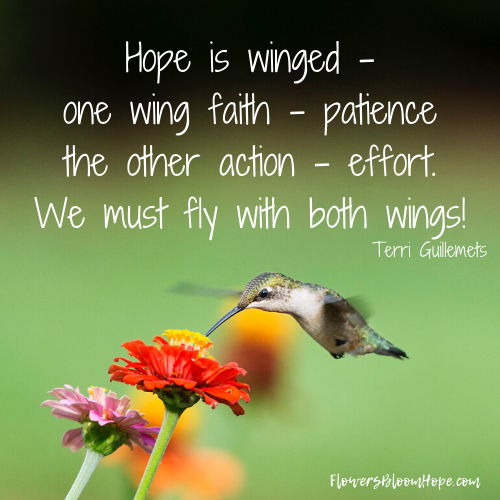 Hope is winged - one wing faith-patience the other action-effort. We must fly with both wings!