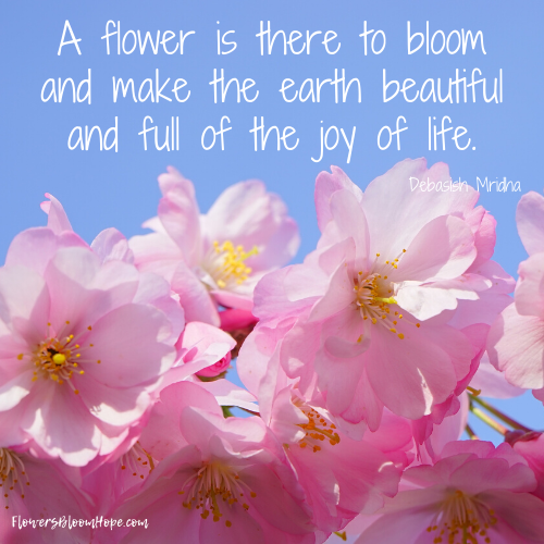 A flower is there to bloom and make the earth beautiful and full of the joy of life.