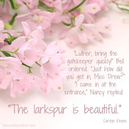 The larkspur is beautiful.