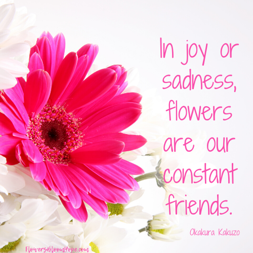 In joy or sadness, flowers are our constant friends.