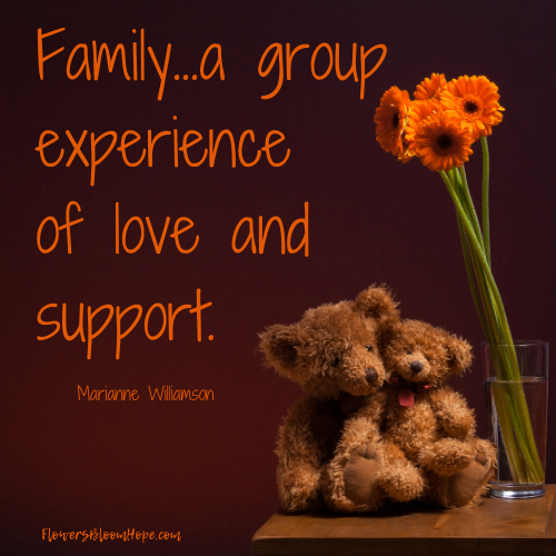 Family...a group experience of love and support.