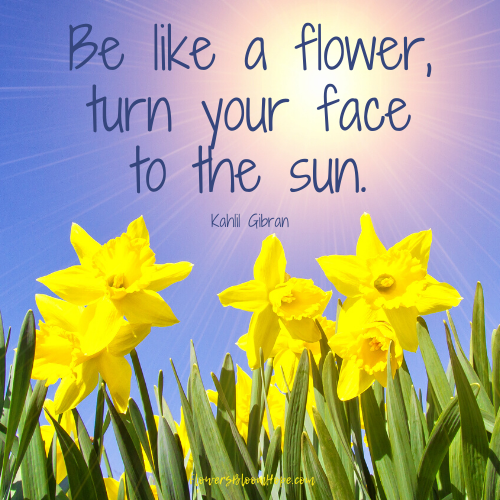 Be like a flower, turn your face to the sun.