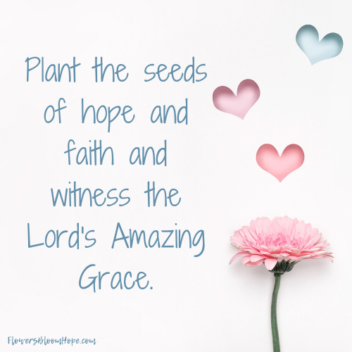 Plant the seeds of hope and faith and witness the Lord's Amazing Grace.