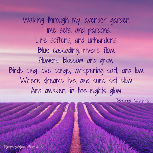 Walking through my lavender garden. Time sets, and pardons. Life softens, and unhardens. Blue cascading, rivers flow. Flowers blossom and grow. Birds sing love songs, whispering soft, and low. Where dreams live, and suns set slow. And awaken, in the nights glow.