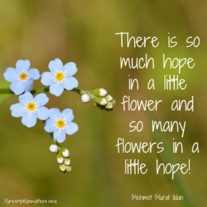 Flower Quotes - Flowers Bloom Hope