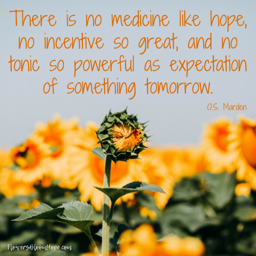 Medicine of Hope - Flowers Bloom Hope