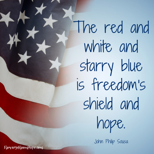 The red and white and starry blue is freedom's shield and hope.