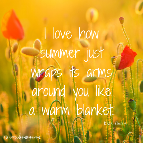 I love how summer just wraps its arms around you like a warm blanket.