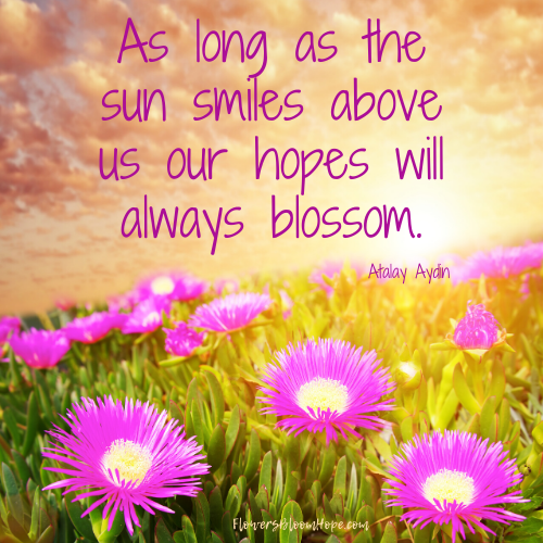 As long as the sun smiles above us our hopes will always blossom.