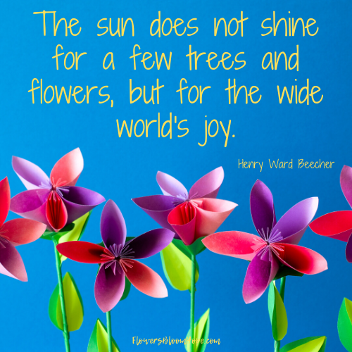 The sun does not shine for a few trees and flowers, but for the wide world's joy.