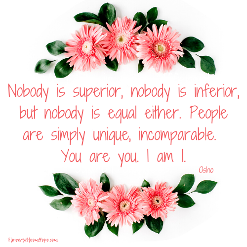 Nobody is superior, nobody is inferior, but nobody is equal either. People are simply unique, incomparable. You are you. I am I.
