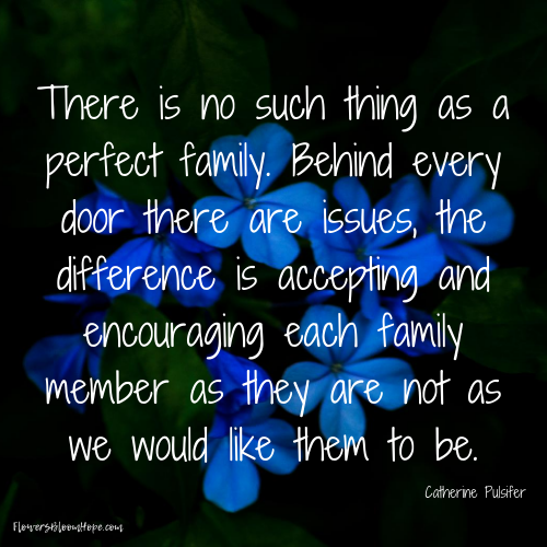 There is no such thing as a perfect family. Behind every door there are issues, the difference is accepting and encouraging each family member as they are not as we would like them to be.