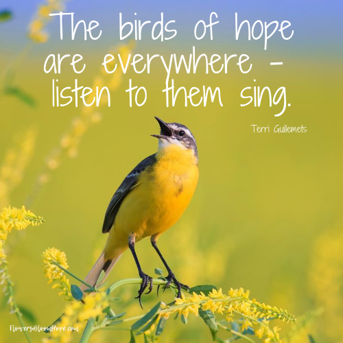 The birds of hope are everywhere - listen to them sing.
