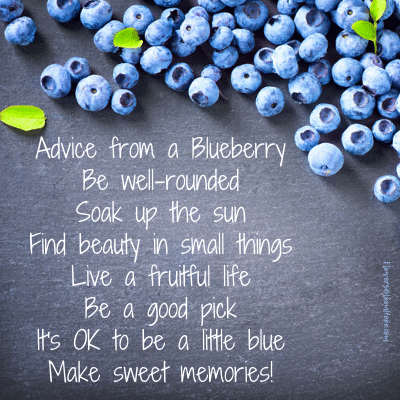 Advice from a Blueberry Be well-rounded. Soak up the sun. Find beauty in small things. Live a fruitful life. Be a good pick. It's OK to be a little blue. Make sweet memories!