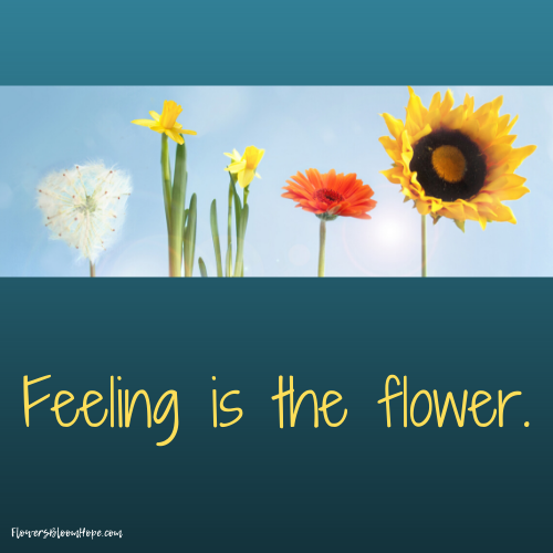 Feeling is the flower.