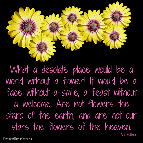 What a desolate place would be a world without a flower! It would be a face without a smile, a feast without a welcome. Are not flowers the parts of the earth, and are not our stars the flowers of the heaven.
