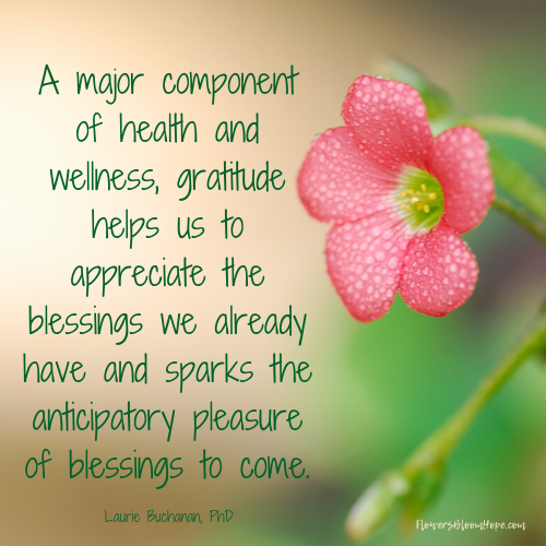 A major component of health and wellness, gratitude helps us to appreciate the blessings we already have and sparks the anticipatory pleasure of blessings to come.